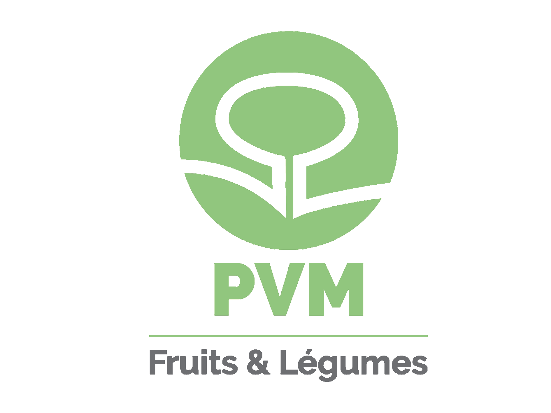 logo PVM